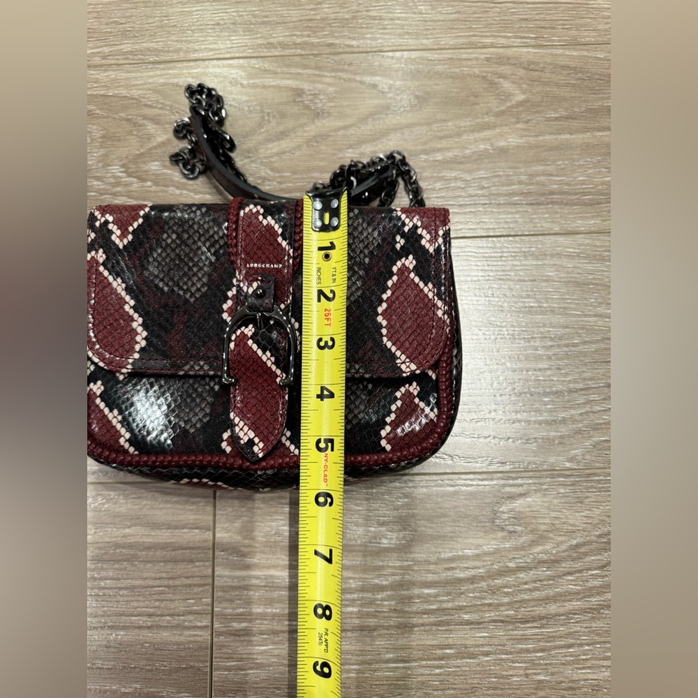 Longchamp Bag - Picture 9 of 10